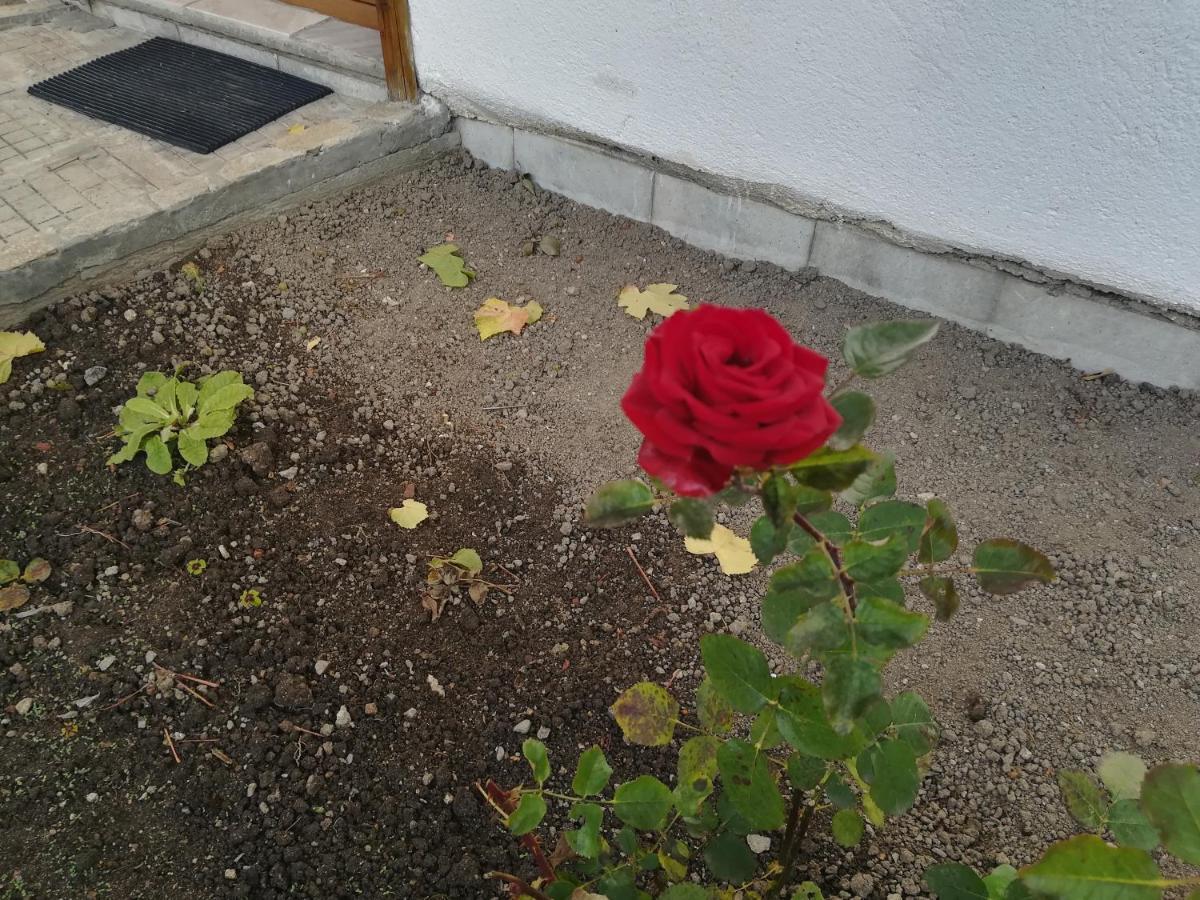 Guest House Terziiski Koprivshtitsa Εξωτερικό φωτογραφία